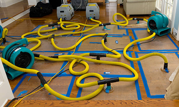 Professional Basement Flood Cleanup technician working in Corryton, TN